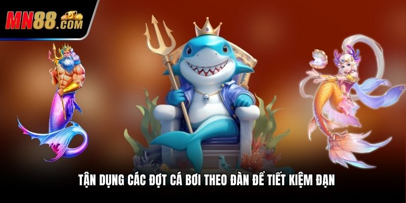 Tận dụng các đợt cá bơi theo đàn để tiết kiệm đạn