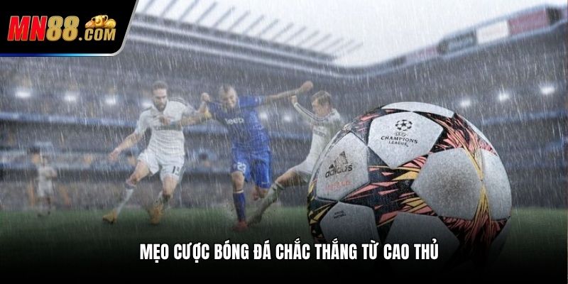 Mẹo cược bóng đá chắc thắng từ cao thủ