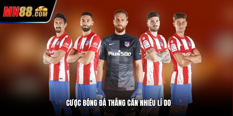 Cược bóng đá thắng cần nhiều lí do
